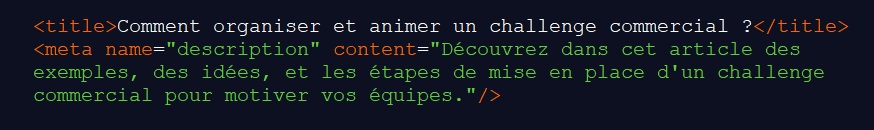 exemple-balises-title-description